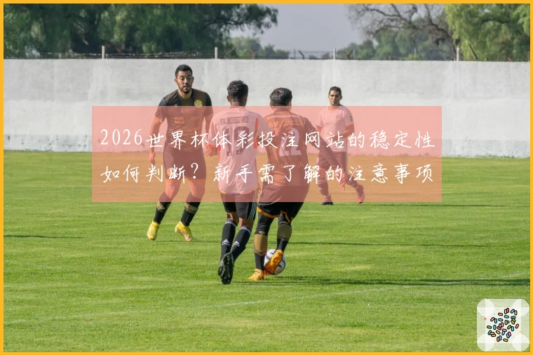 2026世界杯体彩投注网站的稳定性如何判断？新手需了解的注意事项