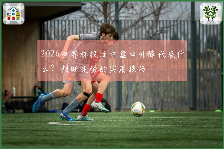 2026世界杯投注中盘口升降代表什么？判断走势的实用技巧