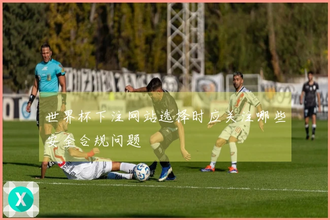 世界杯下注网站选择时应关注哪些安全合规问题