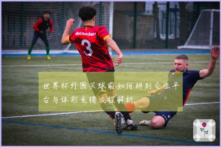 世界杯外围买球前如何辨别合法平台与体彩竞猜流程解析
