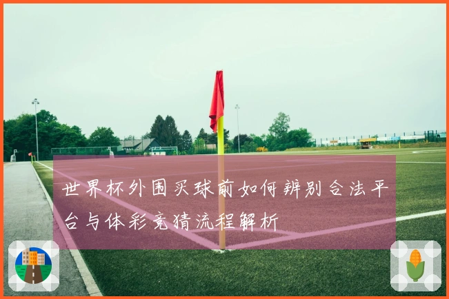 世界杯外围买球前如何辨别合法平台与体彩竞猜流程解析