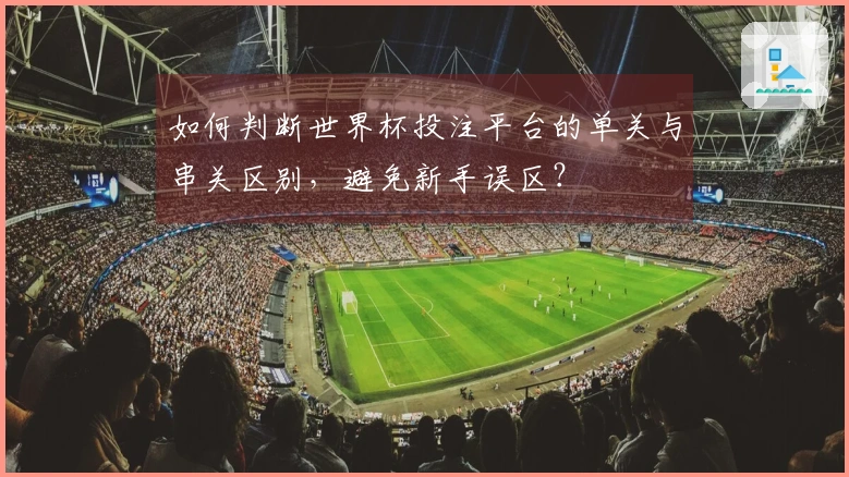 如何判断世界杯投注平台的单关与串关区别，避免新手误区？